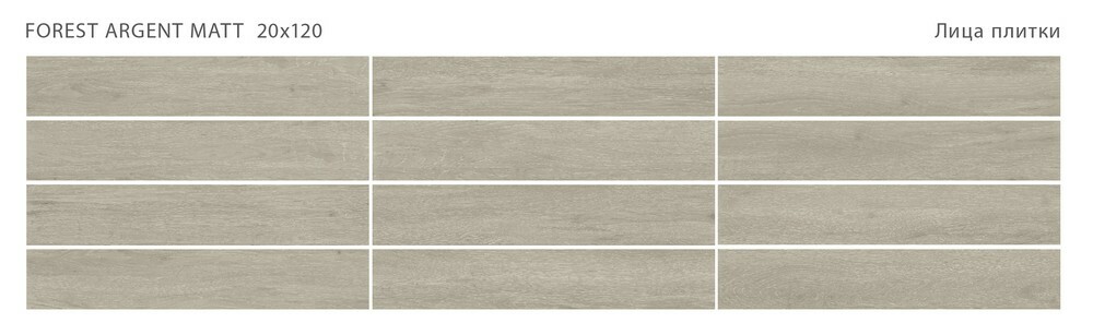 Плитка FOREST ARGENT 20x120 MATT серия Forest