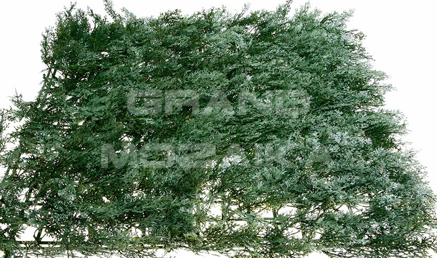 Трава 052280 MZCGZ-06035 серия Grass