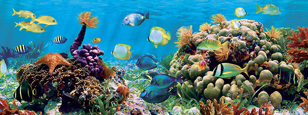 Панно 5892 серия Панно Fa Ro