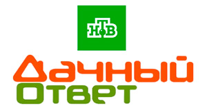 Дачный ответ